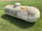 500-Gallon Propane Tank
