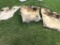 (3) Boxelder Live Edge Slabs