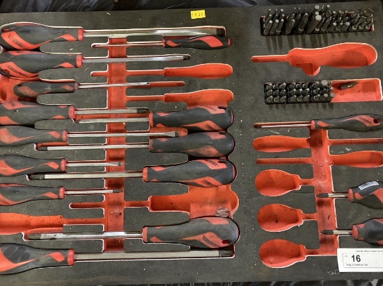 Teng Screwdriver Set