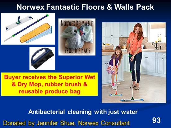 Norwex Mop Package (wet and dry mop, rubber brush and produce bag)