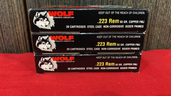 60 Rounds 223 Wolf Ammo