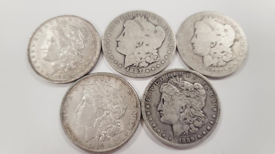 Morgan Silver Dollars (5)