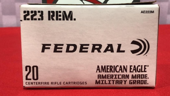 20rds Federal 223 Ammo