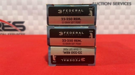 60rds Federal 22-250 Ammo