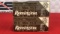 17rds Remington 20ga Turkey Shot Ammo