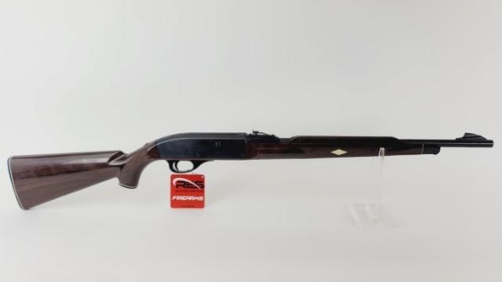 Remington Nylon 66 22LR Semi Auto Rifle