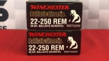 40rds Winchester 22-250 50gr Ammo