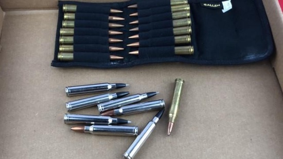 22rds Reloads 300 Win Mag Ammo
