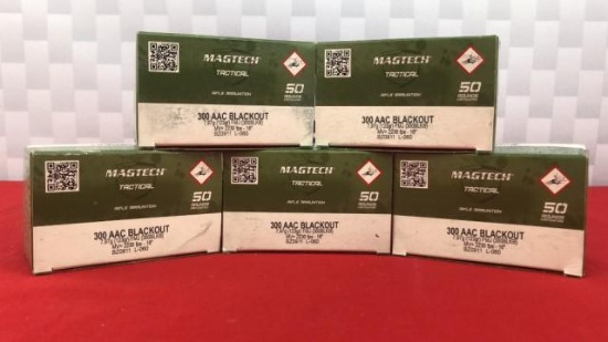 250rds Magtech .300 AAC Blackout Ammo