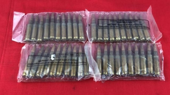 40rds reloads7.62 NATO Ammo