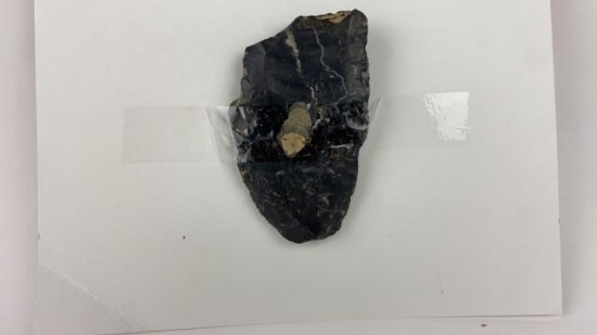 Coshocton Flint Fluted Point