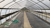 20'x96' Greenhouse