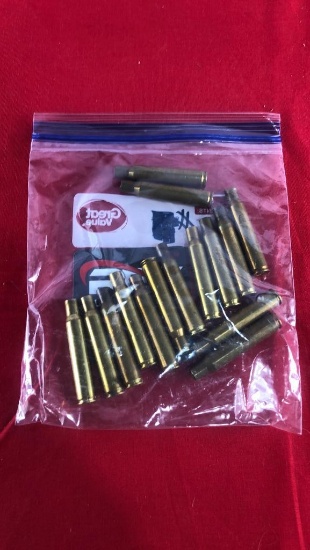15 Pieces 30-06 Brass