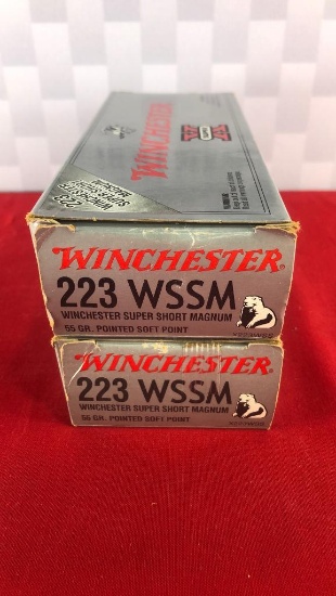 40rds Winchester SuperX 223WSSM 55GR PSP Ammo