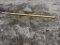 Scaffolding Angle Brace