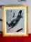 (5) 24''x20'' Aviation Pictures