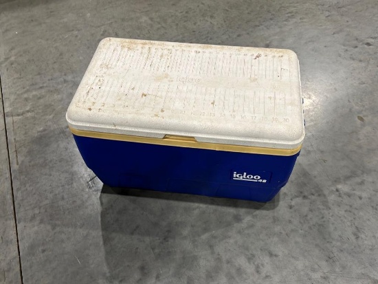 Igloo Cooler