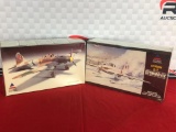 (2) Accurate Miniatures Model Planes