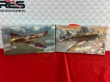 (2) Hasegawa Model Planes