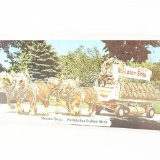 1965 Meister Brau Tin Litho Sign With Clydesdales