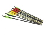 (10) Crossbow Arrows