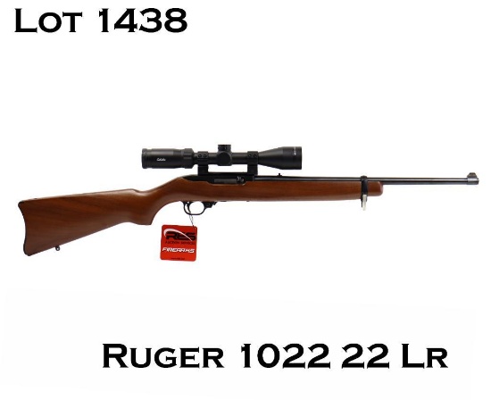 Ruger 10-22 22LR Semi Auto Rifle