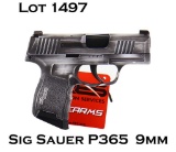 Sig Sauer P365 9mm Semi Auto Pistol