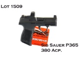 Sig Sauer P365 380ACP Semi Auto Pistol