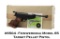 Feinwerkbau Model 65 Target Pellet Pistol