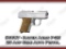 Raven Arms P-25 25 Acp Semi Auto Pistol
