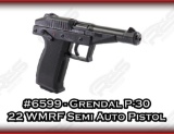 Grendal P-30 22 WMRF Semi Auto Pistol