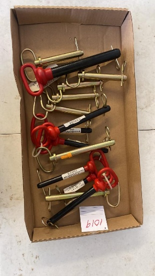 (15) New Hitch Pins