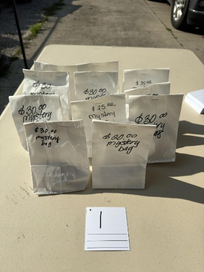Mystery Bags - Lot of 11