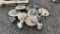 (6) Yetter Fertilizer Coulters