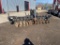 3pt Weight Transfer Yetter