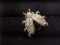 Rhinestone & faux pearl bug pin