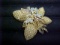 Faux pearl & rhinestone leaf pin