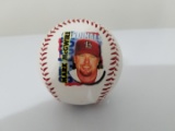 Mark McGwire St. Louis Cardinals baseball