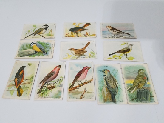 Lot of 1930's bird cigarette cards