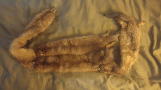 44" vintage mink stole