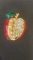 Rhinestone apple pin