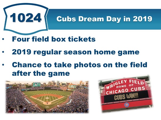 Cubs Dream Day in 2019