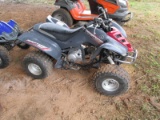 Yamaha Raptor