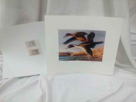 Ducks Unlimited 1991 New Mexico Stamp Print