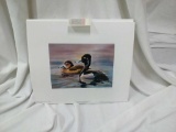 Ducks Unlimited 2001 Colorado Waterfowl