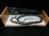 Taxidermy Snake