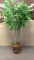 Faux Tree in Wicker Planter