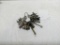 Skeleton Key Collection of 25