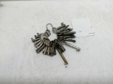 Skeleton Key Collection of 25