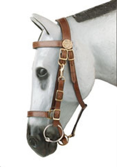 BRID 230BR - KIM HALTER/BRIDLE W/REINS BRN